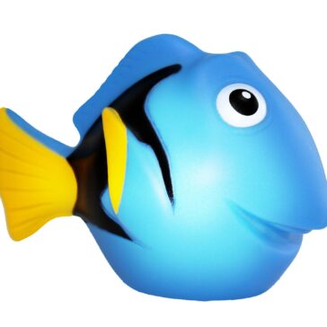 Dori